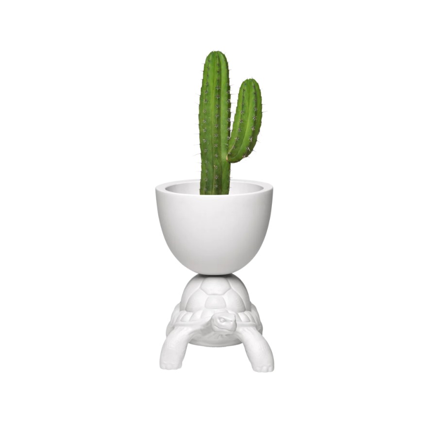 Online Qeeboo Qeeboo Turtle Carry Planter And Champagne Cooler